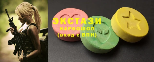 крисы Козельск