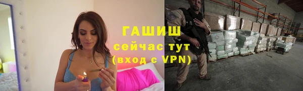 крисы Козельск