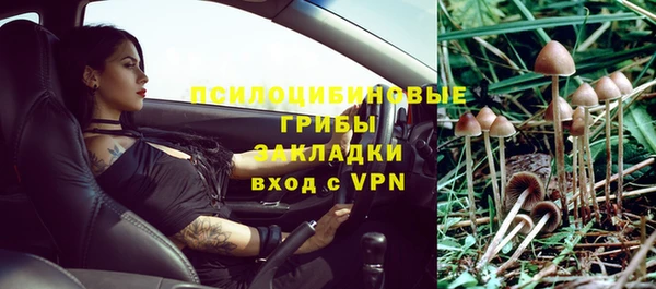 крисы Козельск