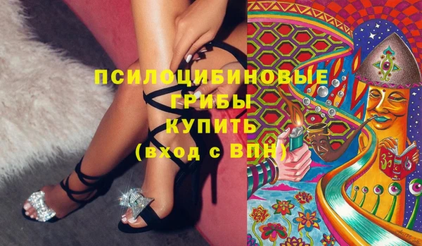 крисы Козельск