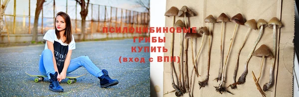 крисы Козельск