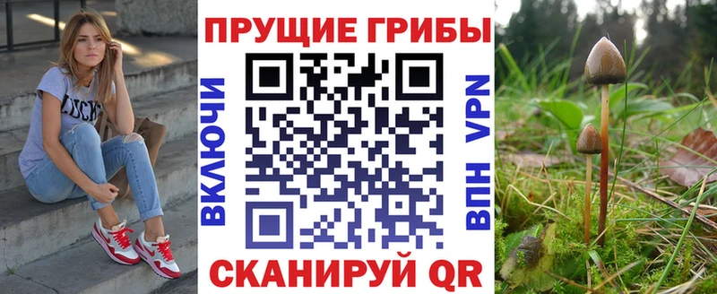 Галлюциногенные грибы мицелий  Купить где  Славянск-на-Кубани 